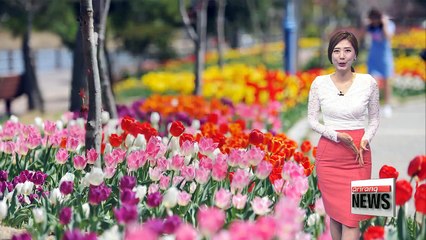 Bright skies with spring warmth _ 042518