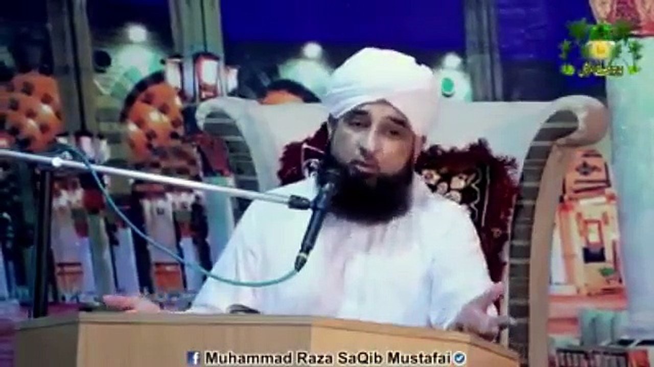Muhammad Raza Saqib Mustafai (351)