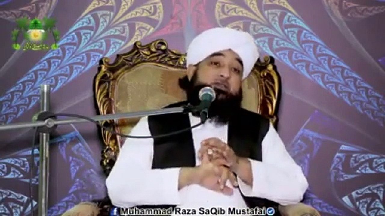 Muhammad Raza Saqib Mustafai (353)