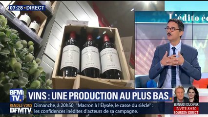 Pourquoi la production de vins a été catastrophique l’an dernier