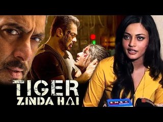 Salman की Tiger Zinda Hai को Sneha Ullal ने किया नज़रअंदाज़ | Katrina Kaif