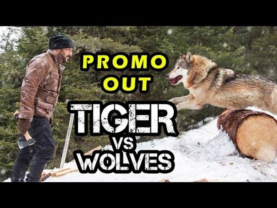 Tiger Zinda Hai का शानदार Promo हुआ रिलीज़  | Tiger Vs Wolf | Salman Khan, Katrina Kaif