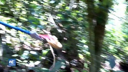 La Isla de las Serpientes