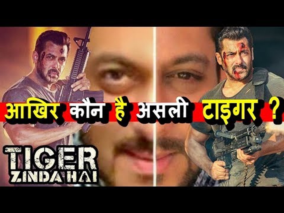 Salman Khan के नहीं किसी और के Stunt पर लोग हुए थे पागल । Tiger Zinda Hai