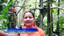 Costa Rica, un esfuerzo constante en la conservación ambiental