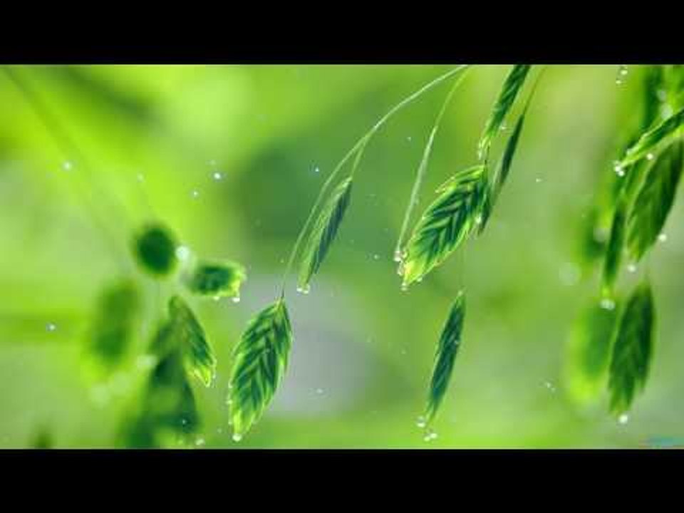 Классическая фортепианная музыка для изучения и...