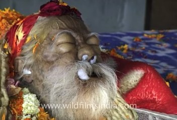 Indian Sadhu ends his life's journey