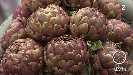 Sans frontières - Rome : Les artichauts à la juive !