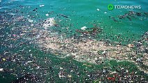 Kolektor Ocean Cleanup Plastic bersiap untuk diluncurkan - TomoNews
