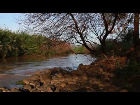 Расслабляющая Звуки природы Музыка: Утренняя медитация, исследование музыка