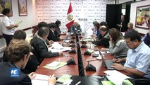 Perú prioriza sustitución de cultivos ilícitos de hoja de coca