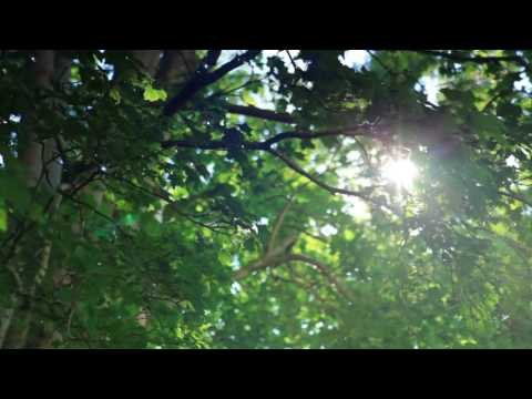 Расслабляющая фортепианная музыка, New Age Музыка для релаксации, медитации музыка