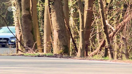 سيارة الرالي هيونداي أي 30 إن