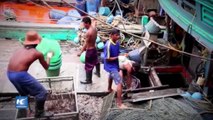 UE pide reducir busques pesqueros tailandeses