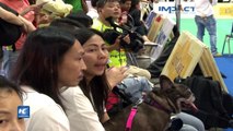 Exposición de perros en Tailandia, la más importante de Asia