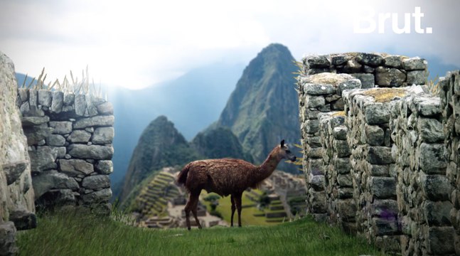 Le Chemin de l'Inca est l'une des 5 meilleures randonnées de la planète