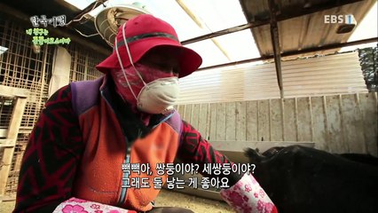 한국기행 - Korea travel_내 친구는 동물이로소이다 3부 봄의 왈츠_#002