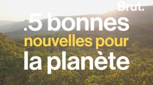 5 bonnes nouvelles pour la planète