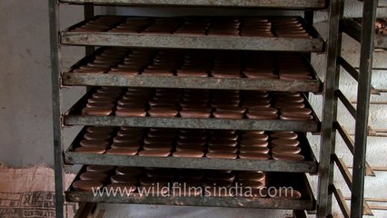 Would you bathe with this? A soap made of cow poop