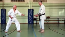 Kihon ippon kumite