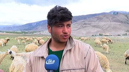 Erzincanlı üreticileri kuraklık endişesi sardı