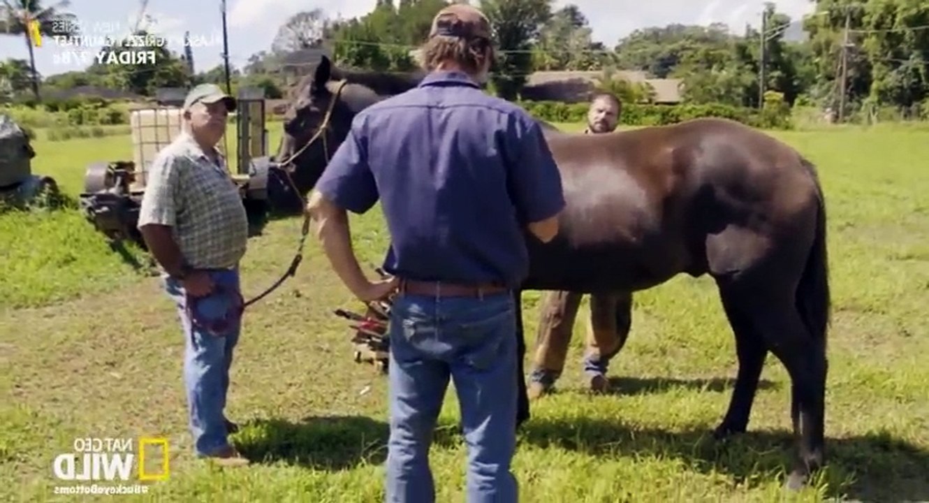 The Adventures of Dr. Buckeye Bottoms S02xxE03 Maui Madness - Part 02