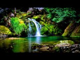 Entspannende Musik - Wassaerfall Sounds, Regenwald, Vögel Chirping, Entspannendes Wasser