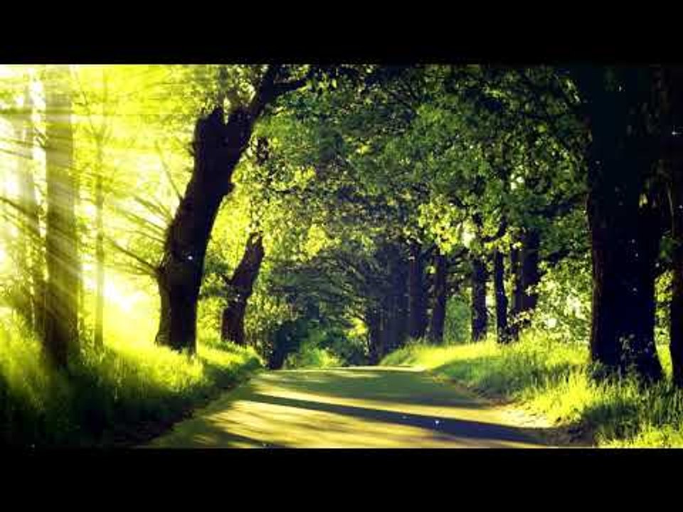 Лесные звуки с расслабляющей музыкой - музыка с...