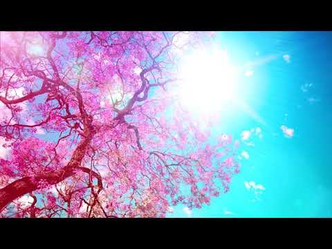 Relax Music: Relaxing Soft Klavier Musik zu schlafen und Study Long Playlist