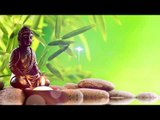 Buddha-Träumer - heilende Zen-Musik, entspannende Zen-Musik, innerer Frieden, Naturklänge