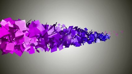 Un chien assomme une passante