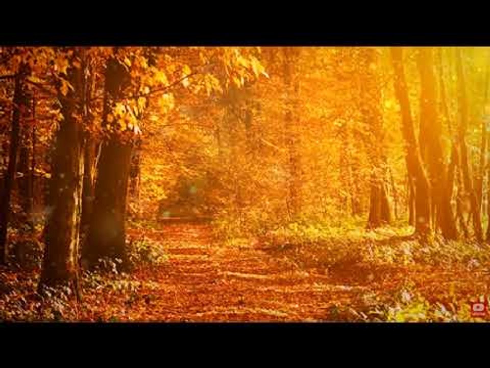 Relaxing Meditation Santoor Music: музыка внутреннего мира, расслабляющая музыка