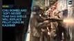 In Kashmir, CRPF looks at alternatives to pellet guns