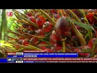 Darmin Nasution: Indonesia Berencana Jual Hasil Sawit