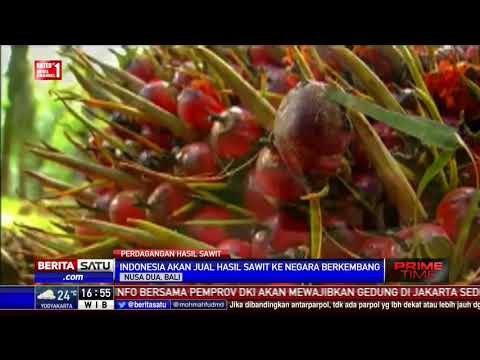 Darmin Nasution: Indonesia Berencana Jual Hasil Sawit