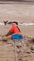 Rescuing a Kangaroo from a Muddy Dam