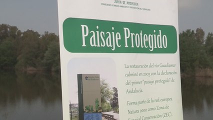 Filtraciones investigadas y 89 millones pendientes de cobro, herencia de Aznalcóllar