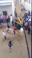 Must watch Crazy women dancing on horse funny
