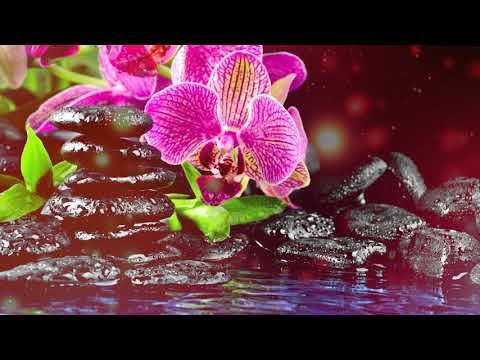 Глубокая расслабляющая музыка: глубокая медитативная музыка, стресс-помощь, йога-музыка