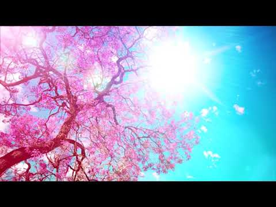 Relax Music: расслабляющая мягкая фортепианная...