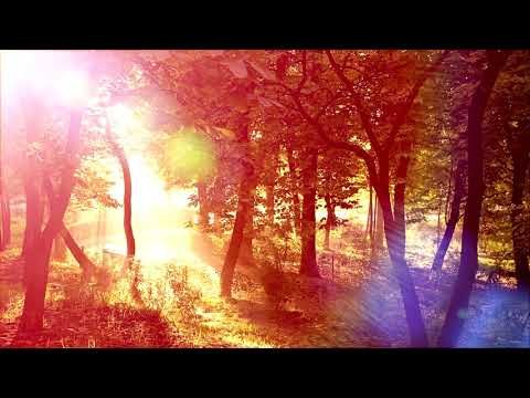 3O Mins of Healing Meditation Musik: Entspannende Musik, beruhigende Musik, beruhigende Musik