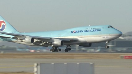 "대한항공 소액주주 모아 경영진 교체하겠다" / YTN