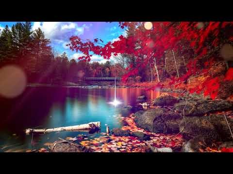 Deep Relax Meditation Music: Delta Waves Расслабляющая музыка, успокаивающая музыка