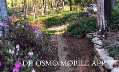Zhiyun Smooth Q vs DJI Osmo Mobile REVIEW