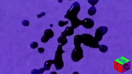 What Happened To You Klasky Csupo in G Major 4