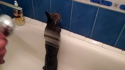 I do not fear swimming, if I need to wet myself.