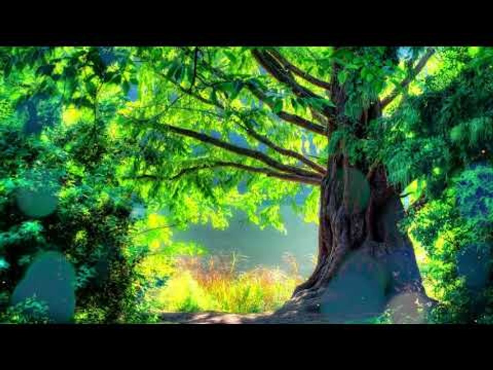 30 минут расслабляющая музыкальная терапия, мяг...