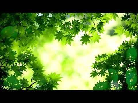 Мягкая, медитация Глубокая сонная музыка: музыка внутреннего мира, расслабляющая музыка