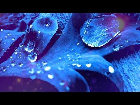 Relax Meditation Music: релаксационная музыка, успокаивающая музыка, успокаивающая музыка, йога