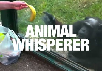 How Animals Communicate